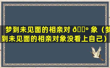 梦到未见面的相亲对 🌺 象（梦到未见面的相亲对象没看上自己）